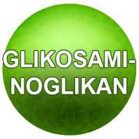glikosaminoglikan